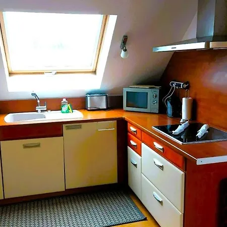 Modern Loft With Pool And Gym * Bollwiller