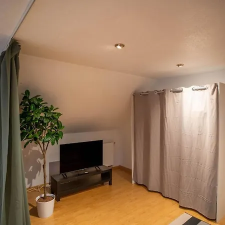 Modern Loft With Pool And Gym Daire *