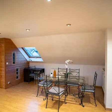 Modern Loft With Pool And Gym * Bollwiller