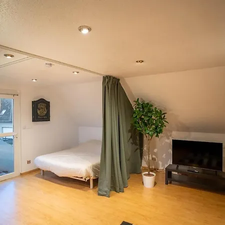 Modern Loft With Pool And Gym Apartment Bollwiller