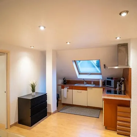 Modern Loft With Pool And Gym Bollwiller