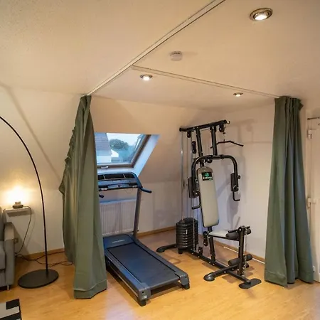 Modern Loft With Pool And Gym * Bollwiller