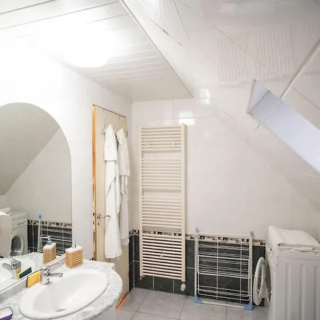 Daire Modern Loft With Pool And Gym Bollwiller
