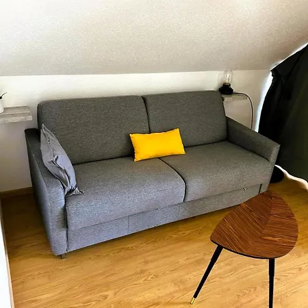 Modern Loft With Pool And Gym * Bollwiller